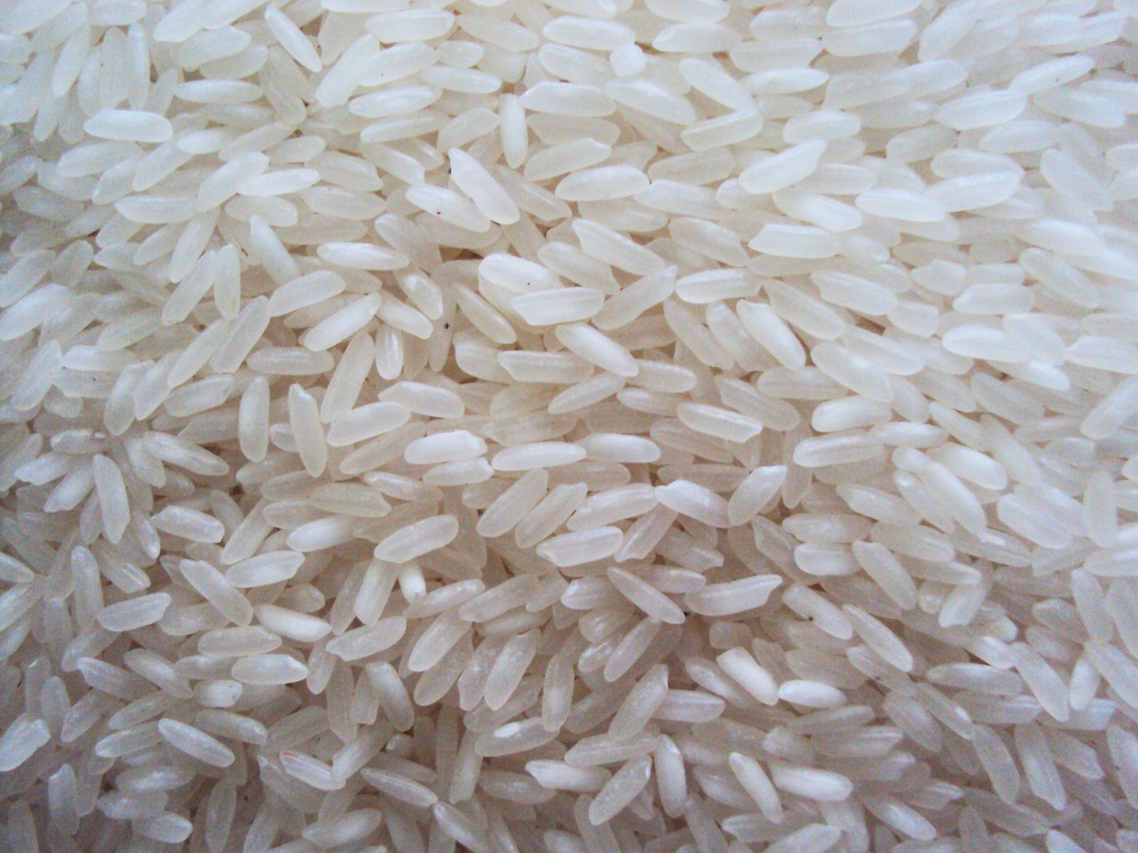 Rice 4218